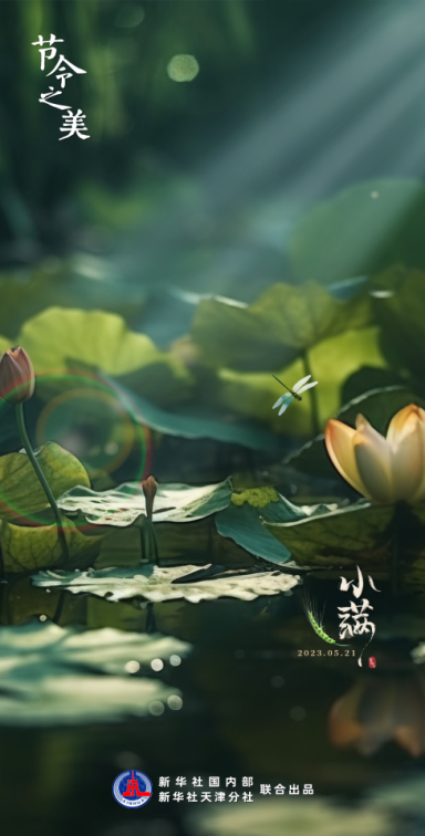 1684715361820878.png image.png